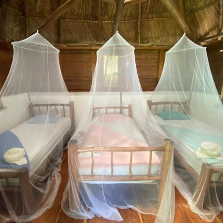 Casa De La Iguana Hostel Lívingston Екстериор снимка