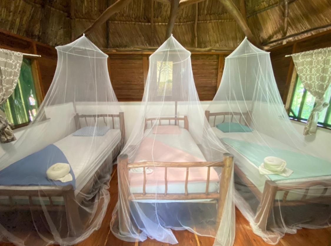 Casa De La Iguana Hostel Lívingston Екстериор снимка